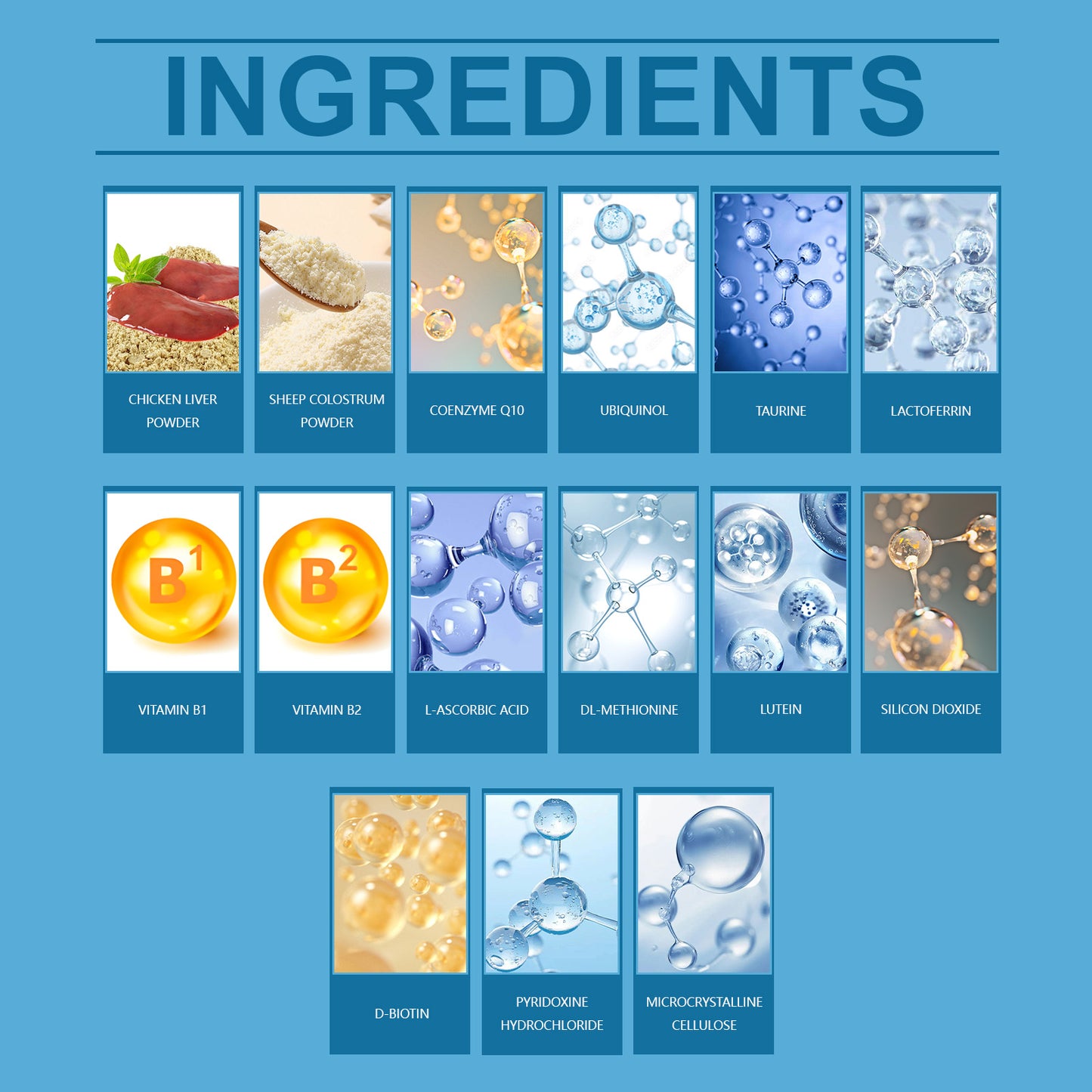 Coenzyme Q10 for cats