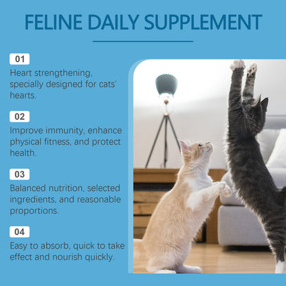 Coenzyme Q10 for cats