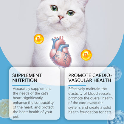 Coenzyme Q10 for cats